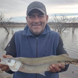 Discreta semana de pesca en todo el país. Las heladas condicionan al peje y otras especies, mientras que la crecida del Uruguay como del Paraná alteró la Cuenca del Plata.