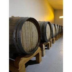 Bodega Ayestarán Allard: Historia, innovación y pasión en el corazón de la Patagonia | Foto:CEDOC