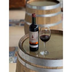 Bodega Ayestarán Allard: Historia, innovación y pasión en el corazón de la Patagonia | Foto:CEDOC