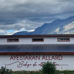 Bodega Ayestarán Allard: Historia, innovación y pasión en el corazón de la Patagonia | Foto:CEDOC
