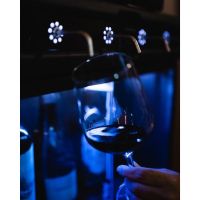 Te Calmás, un refugio de vinos y sabores en un ambiente acogedor