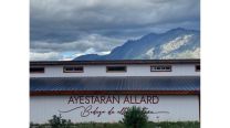Bodega Ayestarán Allard: Historia, innovación y pasión en el corazón de la Patagonia