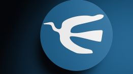 Logo Perfil difuminado