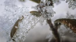 Nieve en Buenos Aires