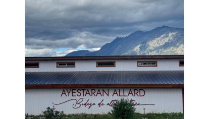 Bodega Ayestarán combina tradición, innovación y comunidad, ofreciendo vinos premiados, experiencias únicas y un compromiso profundo con la región y sus productores locales.