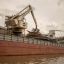 Crop traders rush to secure Argentine cargoes as Milei perk ends