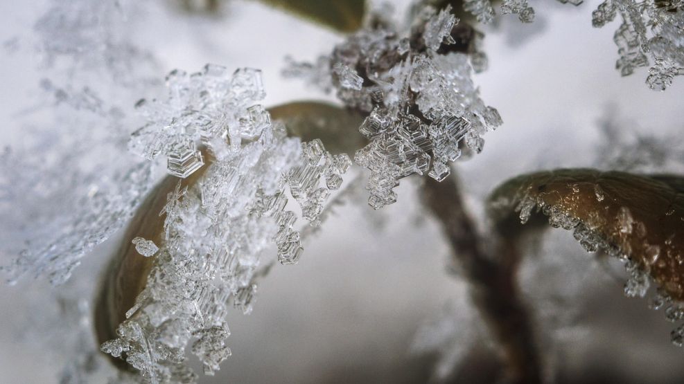 Nieve en Buenos Aires