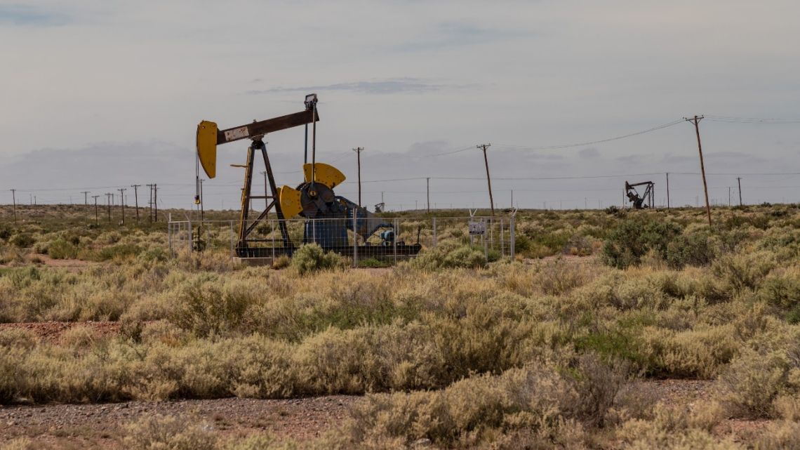Pump jacks in Neuquén Province, Argentina, home of the Vaca Muerta shale formation.
