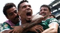Palmeiras vs. Botafogo