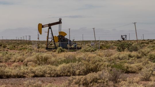 Pump jacks in Neuquén Province, Argentina, home of the Vaca Muerta shale formation.
