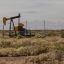 Argentina shale can resist political risk, Milei oil chief says