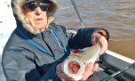 Es el momento de los matungos en el Río de la Plata