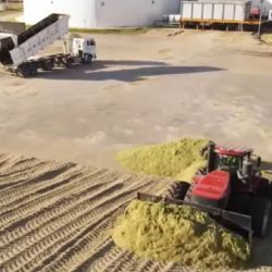 La empresa sembrará 147 hectáreas de maíz, material que utilizará para abastecer la planta,