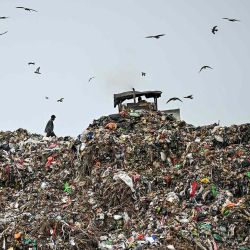 Un recolector de basura busca materiales reciclables en un vertedero, en Chennai. Foto de R. Satish BABU / AFP | Foto:AFP