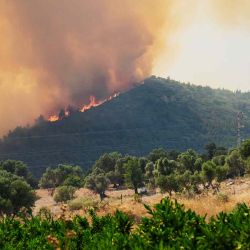 Humo y bengalas se elevan desde una zona forestal tras un incendio forestal en el distrito de Seferihisar, Esmirna. Foto de Ahmet Ayberk Cimen / AFP | Foto:AFP