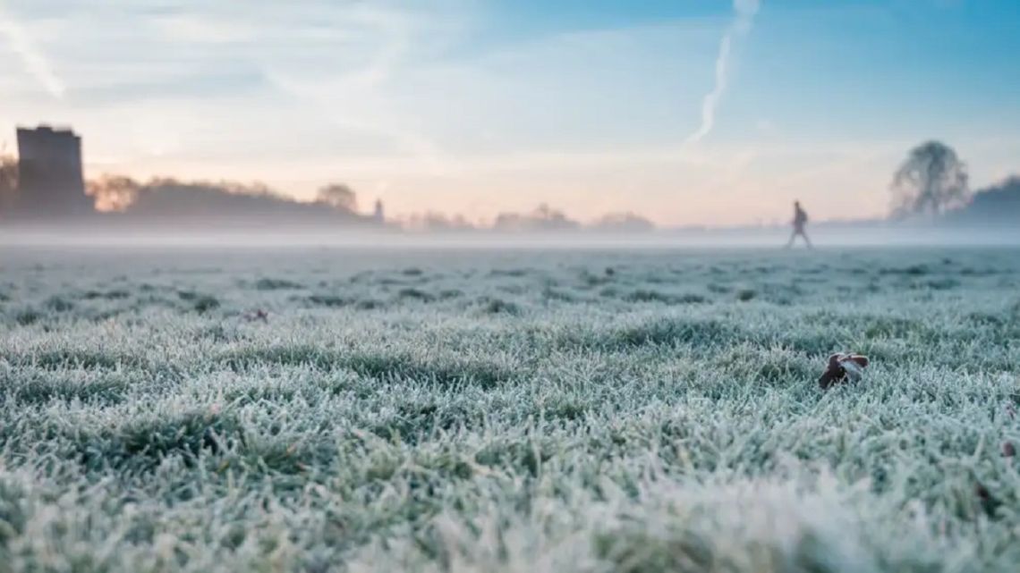 Ola polar al sector agropecuario: “No estamos teniendo una situación extrema de anormalidad”