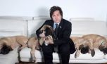 Las mejores fotos de Javier Milei junto a los perros a los que considera "sus hijos"