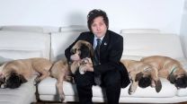 Las mejores fotos de Javier Milei junto a los perros a los que considera "sus hijos"