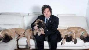 Las mejores fotos de Javier Milei junto a los perros a los que considera "sus hijos"