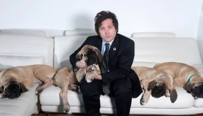 Las mejores fotos de Javier Milei junto a los perros a los que considera "sus hijos"