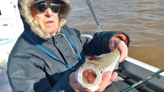 Es el momento de los matungos en el Río de la Plata