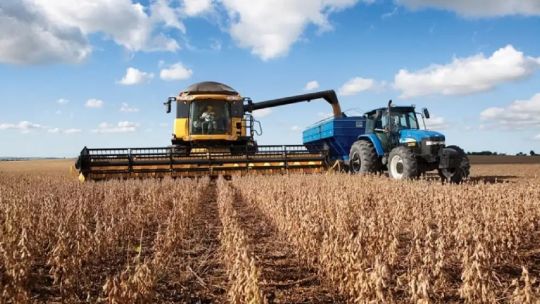 El impacto de las retenciones en el agro: “Solamente queda viable el 39% de la superficie de Argentina”