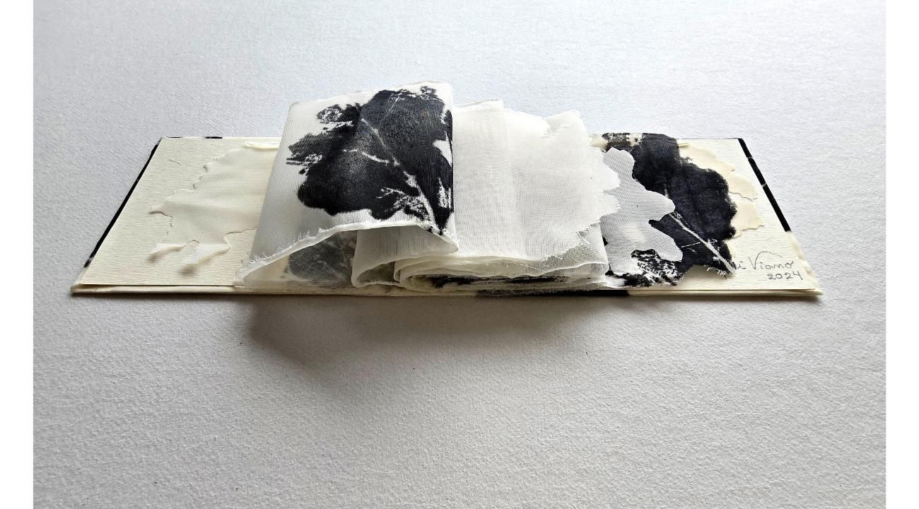 Adri Viano: Un recorrido apasionado por las expresiones artísticas