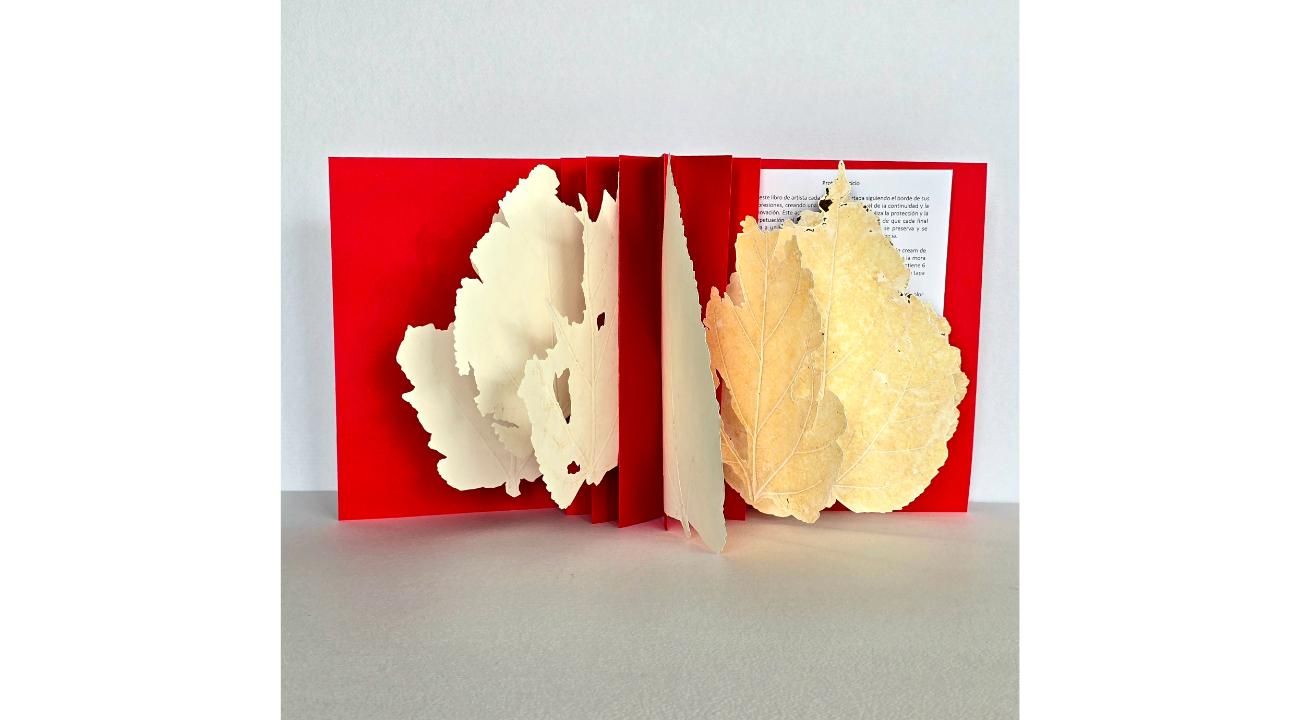 Adri Viano: Un recorrido apasionado por las expresiones artísticas