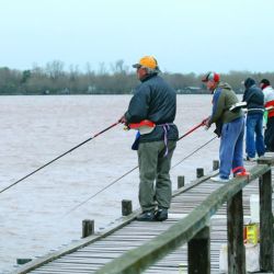 La pesca se hace caminando y acompañando la línea en su derive. Al llegar a la punta del muelle se debe levantar y volver a empezar detrás del último aficionado, una cuestión de códigos y respeto entre los aficionados. (Foto de archivo). 