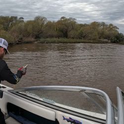 La zona de pesca fue tanto en Isla Sola, cerca de Carmelo en las costas uruguayas y en los palos del Guazú.