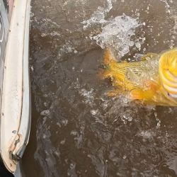 La zona de pesca fue tanto en Isla Sola, cerca de Carmelo en las costas uruguayas y en los palos del Guazú.