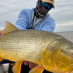 La zona de pesca fue tanto en Isla Sola, cerca de Carmelo en las costas uruguayas y en los palos del Guazú.