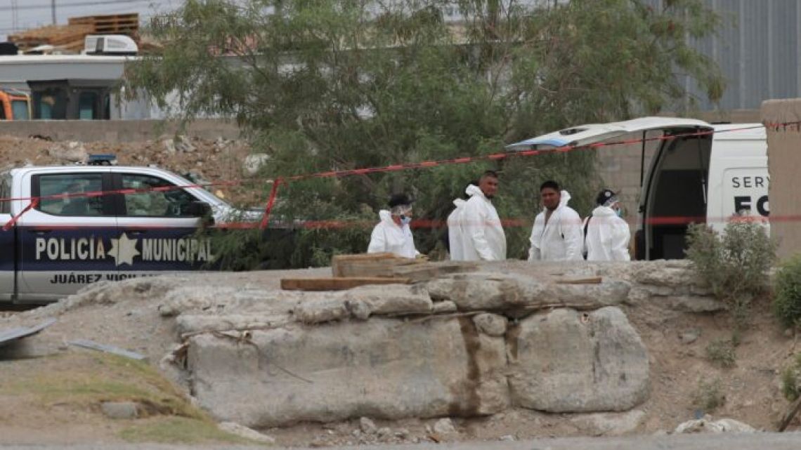 Macabro hallazgo: encuentran 400 cadáveres apilados en el crematorio