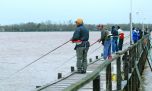 Se aproxima la hora de los cornalitos en el Paraná Guazú 
