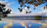 Por el cambio climático, un lago chileno presenta señales alarmantes de desequilibrio ecológico.