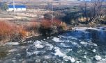 Se congeló el río y se vieron las truchas bajo el hielo