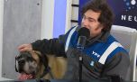 Hablemos de Conan (del vivo y del muerto)
