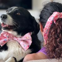 Guapetones: La identificación digital que hace que perros y gatos siempre encuentren el camino de regreso