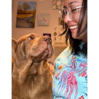 Guapetones: La identificación digital que hace que perros y gatos siempre encuentren el camino de regreso
