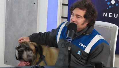 Javier Milei llevó a su perro a un programa. Según cuenta, el animal está por cumplir 22 años. Atrás se esconde una verdad inquietante.