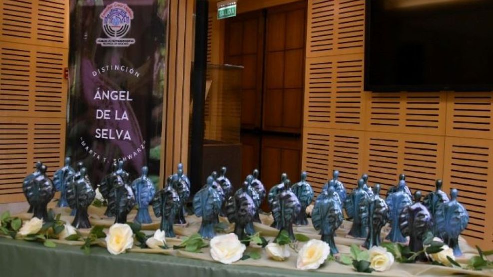 01-07-2025 Misiones Premio Ángel de la Selva Salud