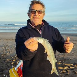 El pejerrey escardón se erige como el último bastión de a resistencia. En las últimas semanas, antes del ingreso de frío polar que irrumpió en la provincia de Buenos Aires, se registraron muy buenas pescas de la especie tanto en la Arenera del Faro como en la Escolleras Sur y Norte, en el Puerto. 