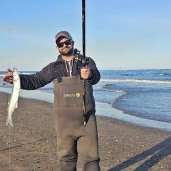 El pejerrey escardón se erige como el último bastión de a resistencia. En las últimas semanas, antes del ingreso de frío polar que irrumpió en la provincia de Buenos Aires, se registraron muy buenas pescas de la especie tanto en la Arenera del Faro como en la Escolleras Sur y Norte, en el Puerto. 