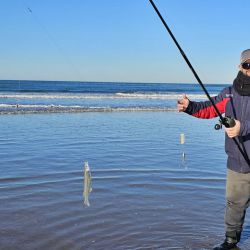 El pejerrey escardón se erige como el último bastión de a resistencia. En las últimas semanas, antes del ingreso de frío polar que irrumpió en la provincia de Buenos Aires, se registraron muy buenas pescas de la especie tanto en la Arenera del Faro como en la Escolleras Sur y Norte, en el Puerto. 