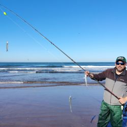 El pejerrey escardón se erige como el último bastión de a resistencia. En las últimas semanas, antes del ingreso de frío polar que irrumpió en la provincia de Buenos Aires, se registraron muy buenas pescas de la especie tanto en la Arenera del Faro como en la Escolleras Sur y Norte, en el Puerto. 