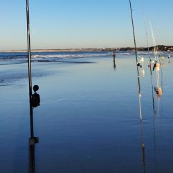 El pejerrey escardón se erige como el último bastión de a resistencia. En las últimas semanas, antes del ingreso de frío polar que irrumpió en la provincia de Buenos Aires, se registraron muy buenas pescas de la especie tanto en la Arenera del Faro como en la Escolleras Sur y Norte, en el Puerto. 