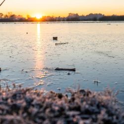 El común de las fotos y videos muestran lagunas, ríos y arroyos totalmente congelados en superficie, aunque también se dan otras situaciones sorprendentes, como una pareja de carpinchos patinando sobre un estero correntino.