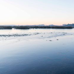 El común de las fotos y videos muestran lagunas, ríos y arroyos totalmente congelados en superficie, aunque también se dan otras situaciones sorprendentes, como una pareja de carpinchos patinando sobre un estero correntino.