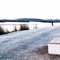 El común de las fotos y videos muestran lagunas, ríos y arroyos totalmente congelados en superficie, aunque también se dan otras situaciones sorprendentes, como una pareja de carpinchos patinando sobre un estero correntino.