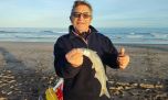 Mientras se espera por el corno, el escardón resiste en Mar del Plata